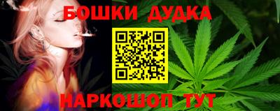 индика Тулун