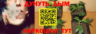 мдпв Тула