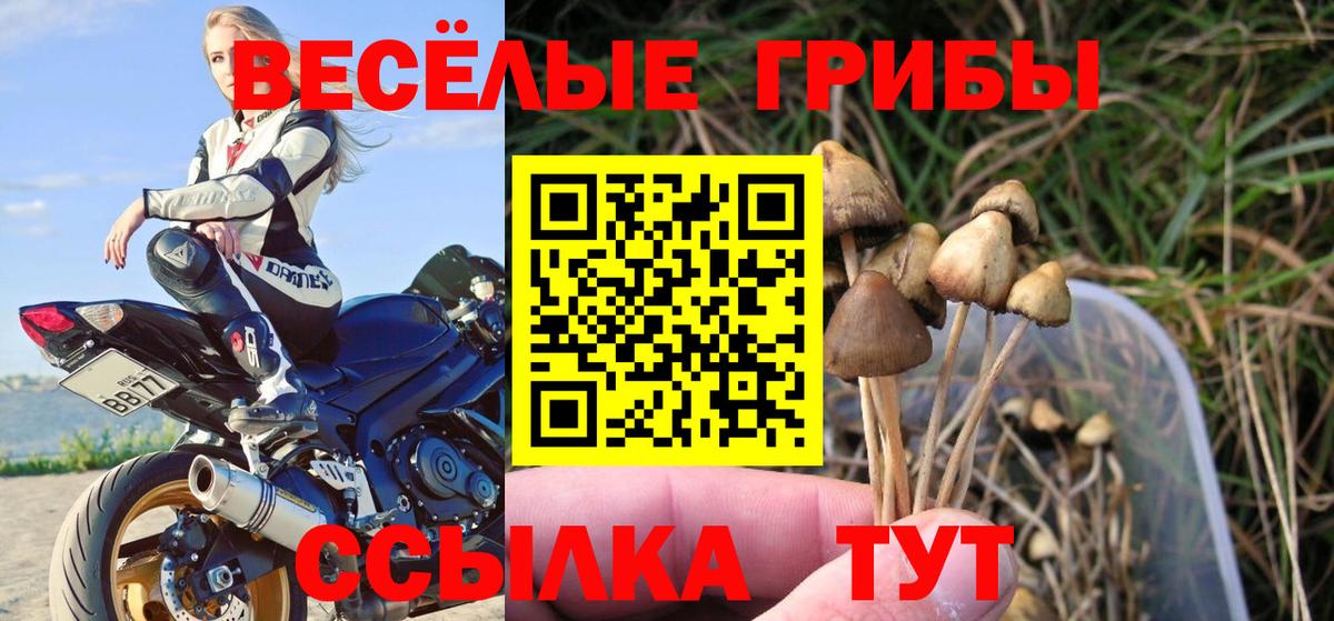 Бахчисарай  Псилоцибиновые грибы GOLDEN TEACHER  что такое   Вход с VPN 